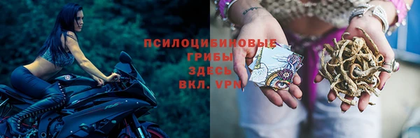 амфетамин Алексин