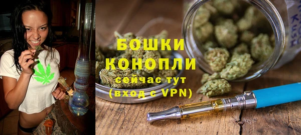 PSILOCYBIN Сясьстрой