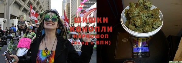 прущая мука Алзамай